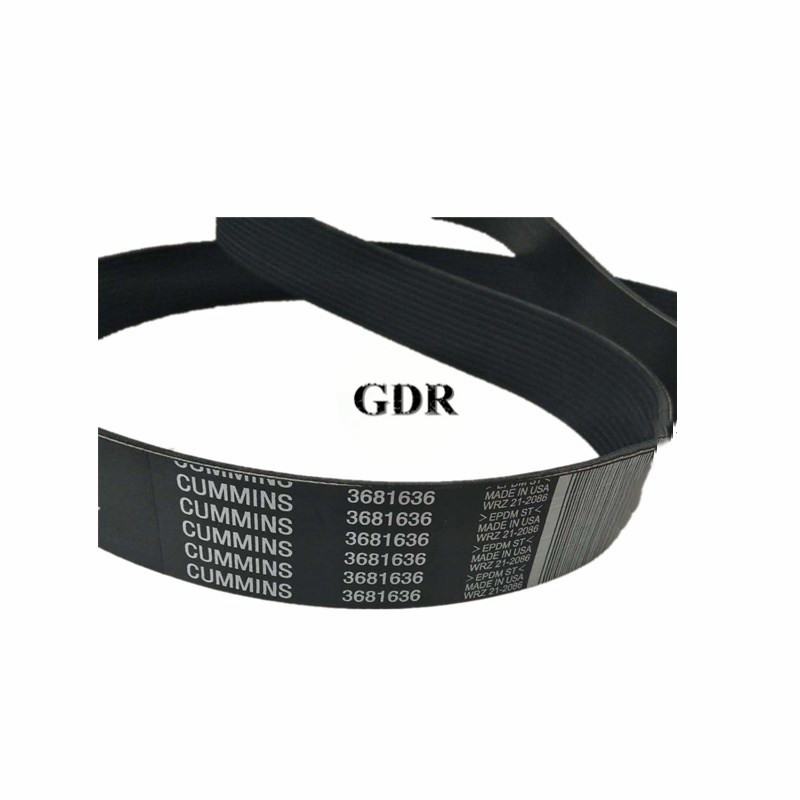3681636 | Cummins QSX15 V Ribbed Belt