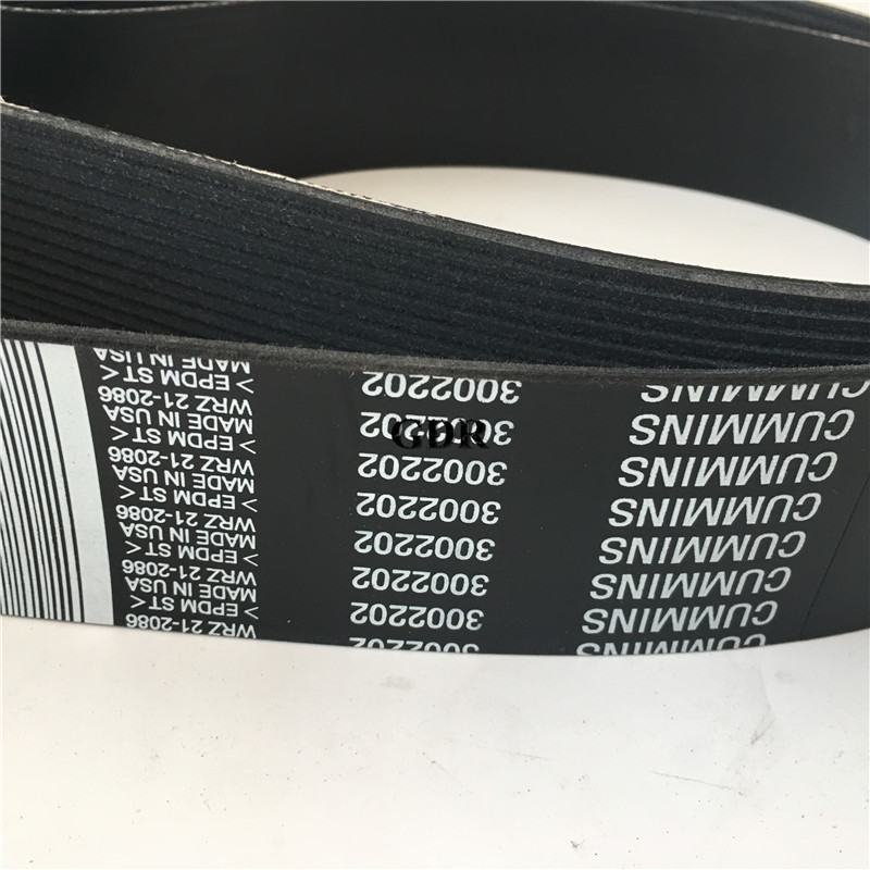 3002202 | Cummins KTA19 V Ribbed Belt