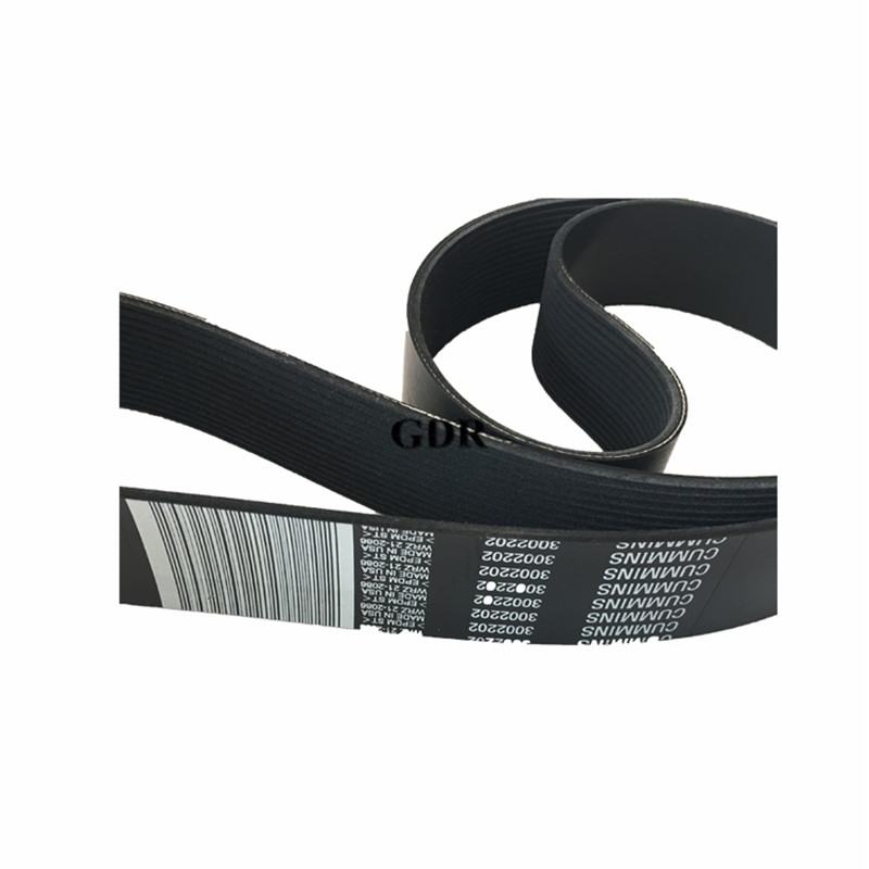3002202 | Cummins KTA19 V Ribbed Belt
