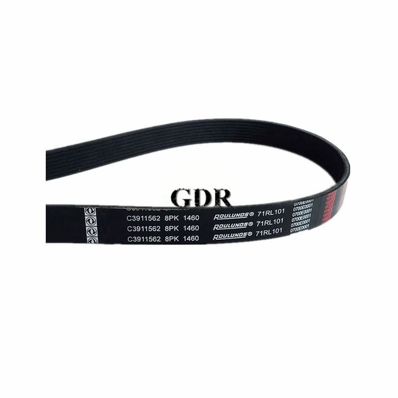 3911562 | Cummins 4BT V Ribbed Belt