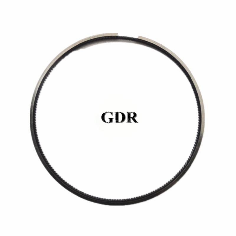 4089810 | Cummins NTA855 Piston Ring Set