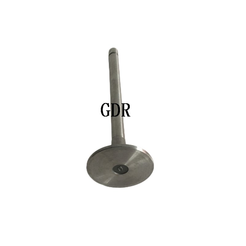 3052820 | Cummins KTA19 Intake Valve
