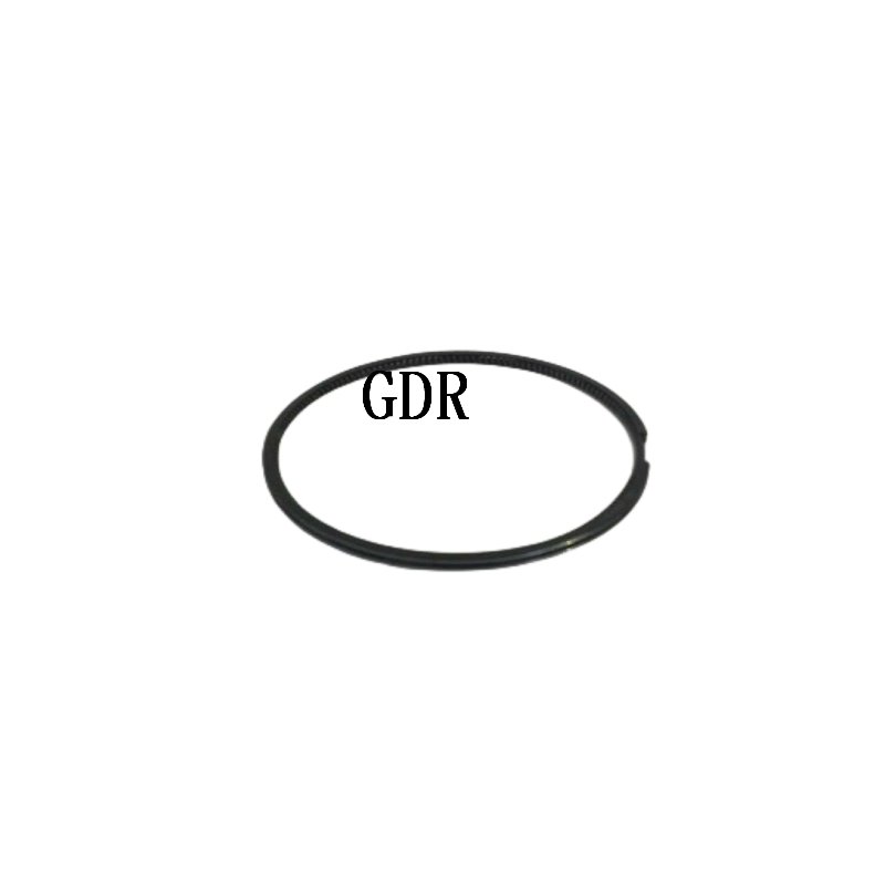 3801056 | Cummins NTA855 Piston Ring Set