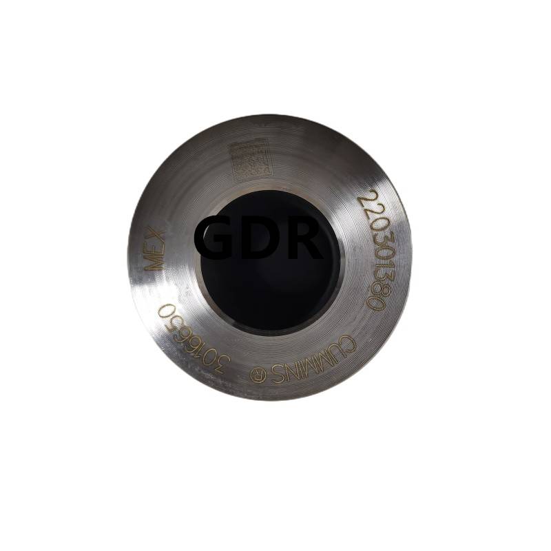 3016650 | Cummins L10 Piston Pin